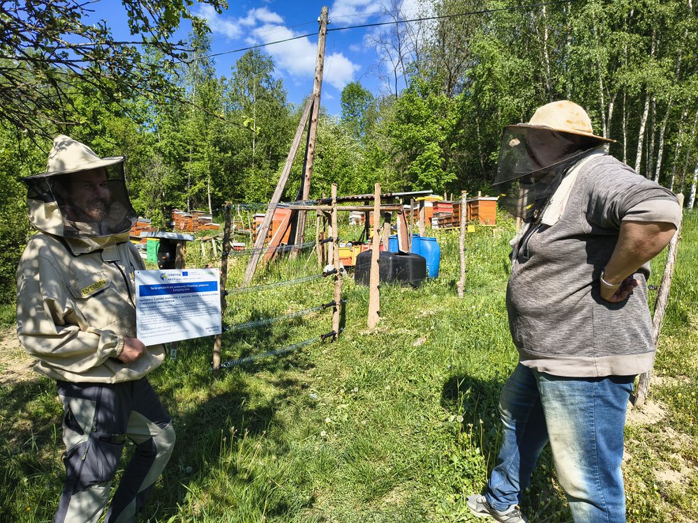 Foto