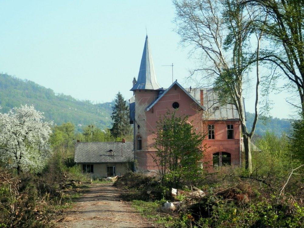 Foto
