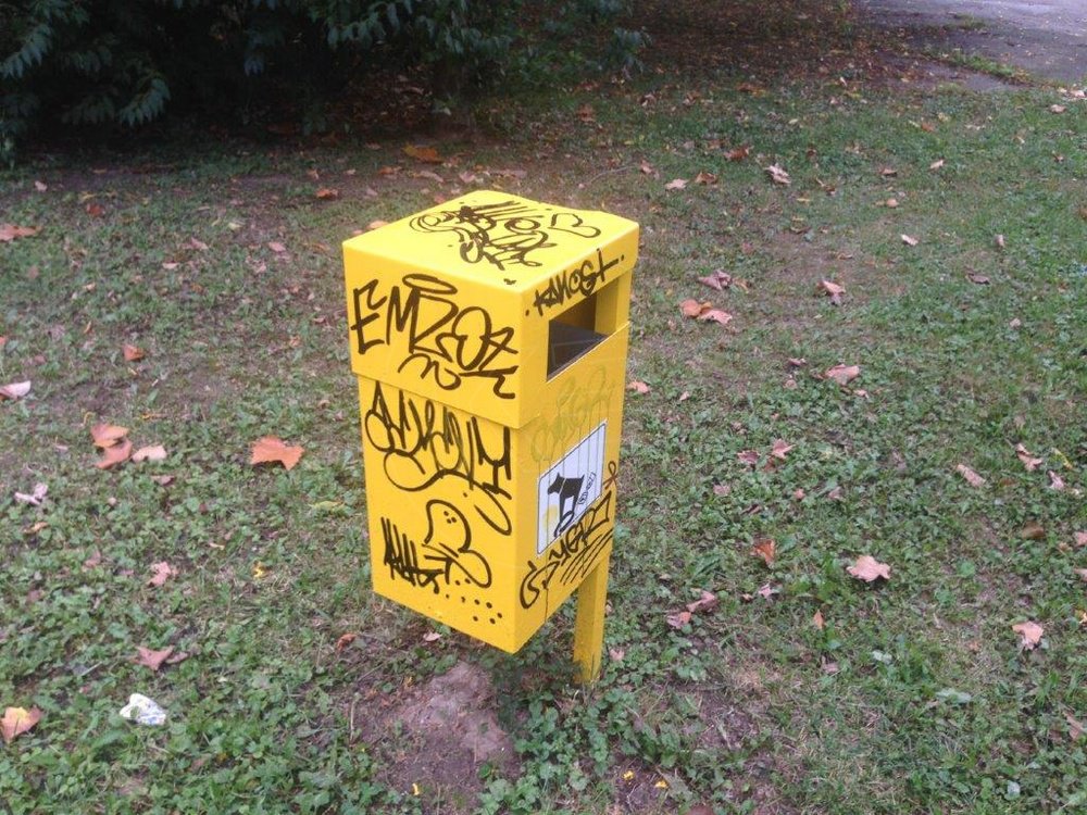 Foto
