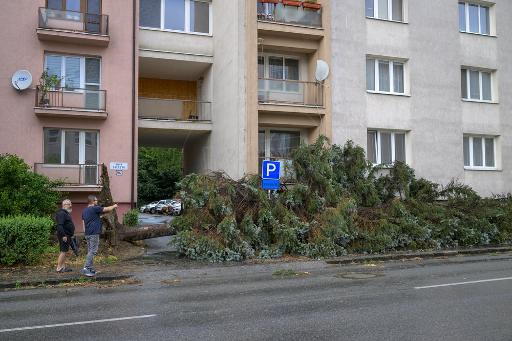 Foto