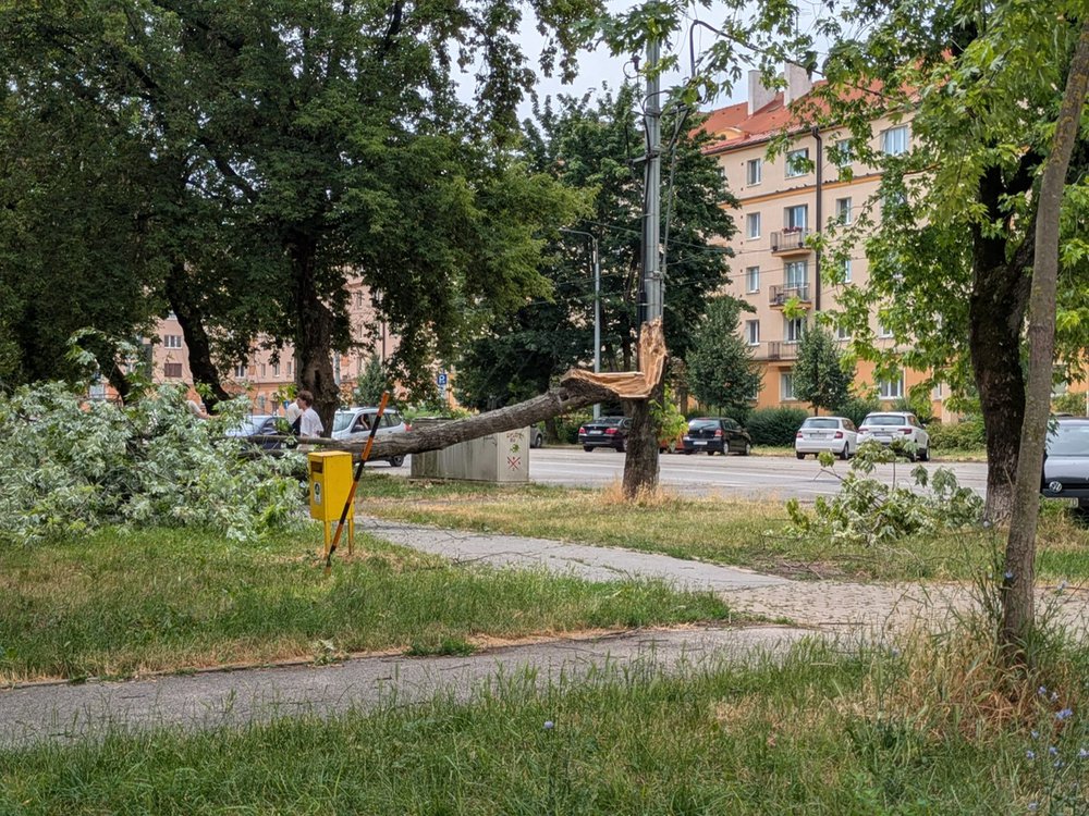 Foto